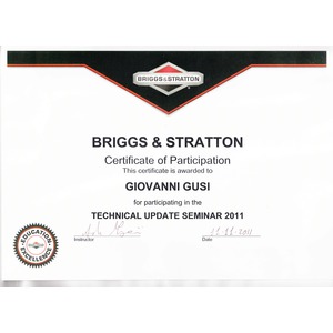 Briggs & Stratton Venezia 2011