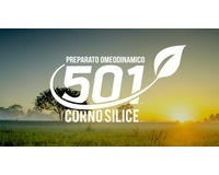 BioDR CORNO SILICE CS501