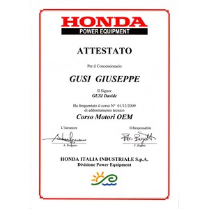 Honda motori Verona 2009