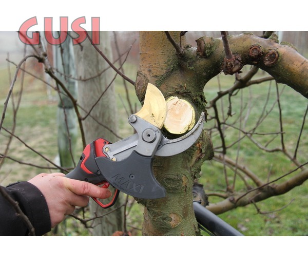 F3015 Arboricoltura